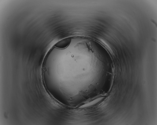 X0000092301291200710041440