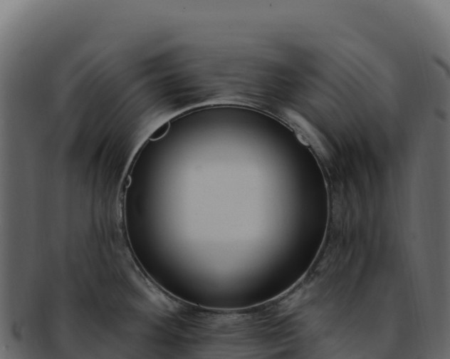 X0000092301292200710041440