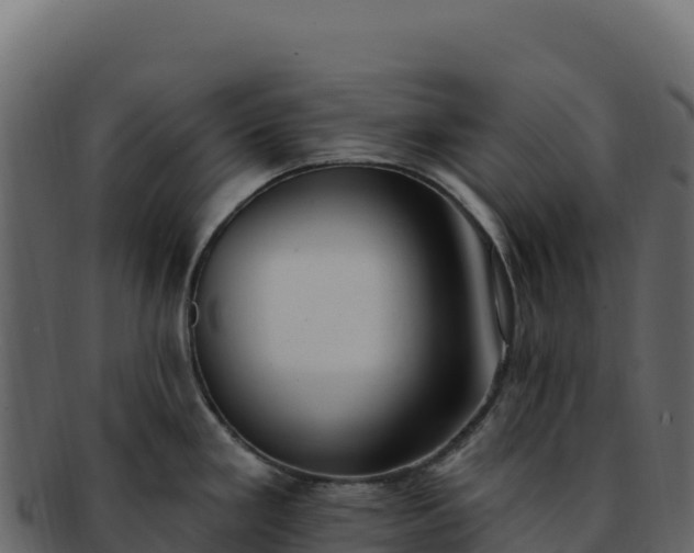 X0000092301293200710041440