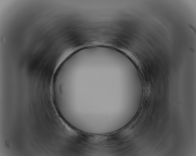 X0000092301294200710041440