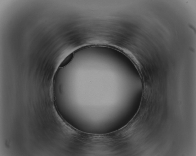 X0000092301295200710041440