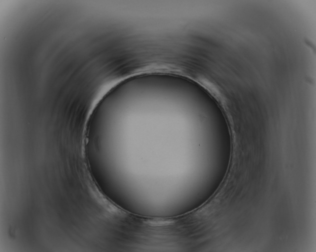 X0000092301296200710041440