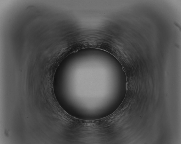 X0000092301297200710041440