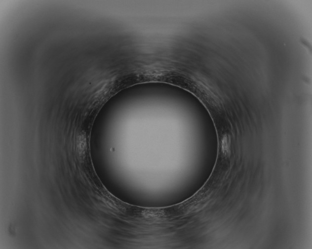 X0000092301299200710041440