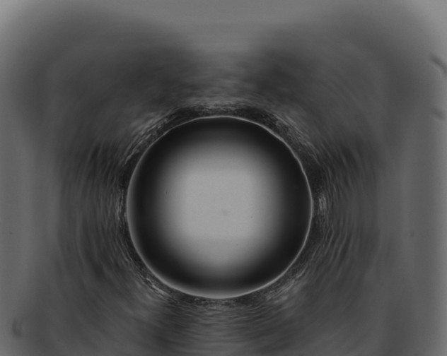 X0000092301300200710041440