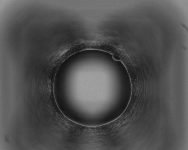 X0000092301301200710041440