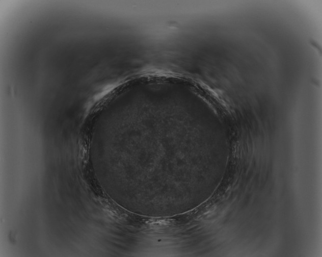 X0000092301303200710041440