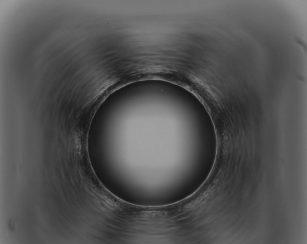 X0000092301305200710041440