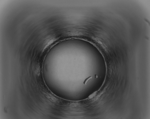 X0000092301306200710041440