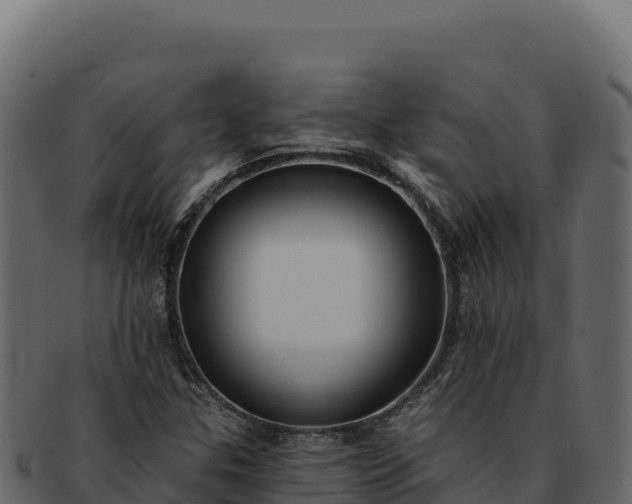 X0000092301307200710041440