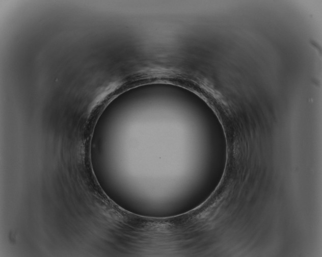 X0000092301309200710041440