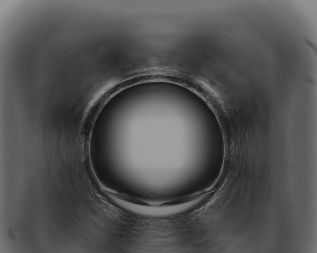 X0000092301310200710041440