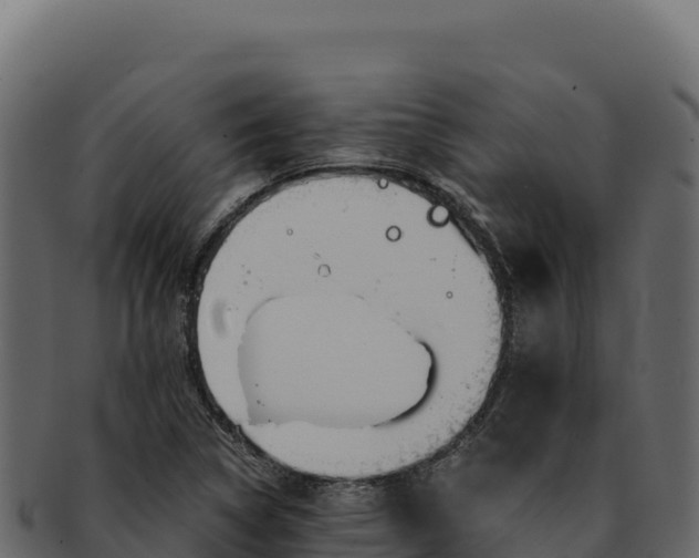 X0000092301314200710041440