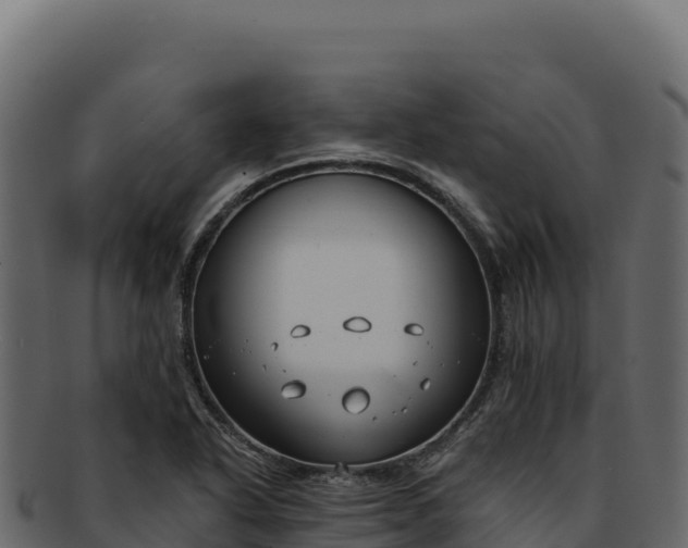 X0000092301318200710041440