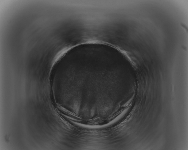 X0000092301319200710041440