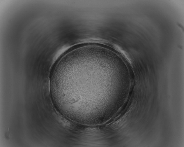 X0000092301320200710041440