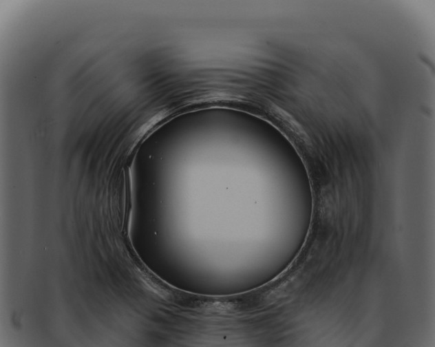 X0000092301321200710041440