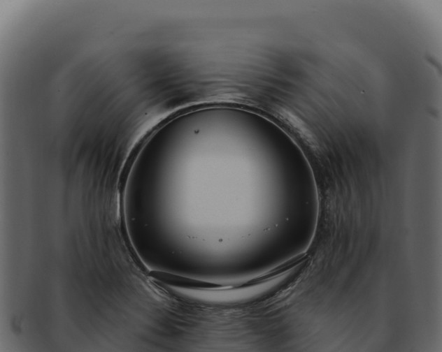 X0000092301324200710041440