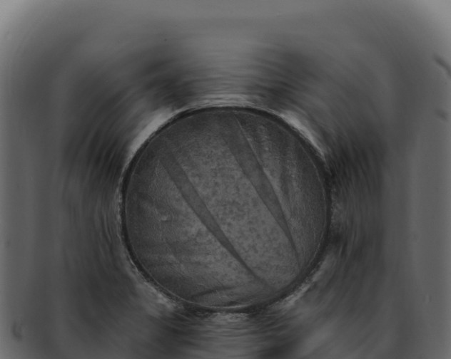 X0000092301325200710041440