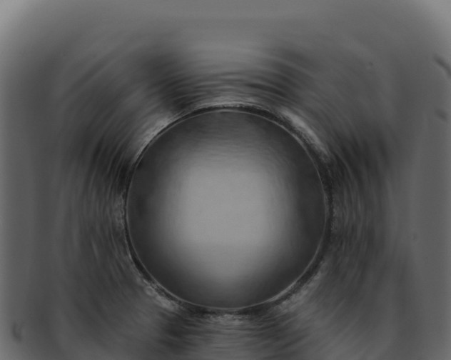 X0000092301329200710041440