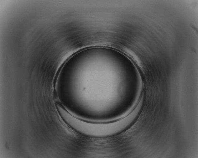 X0000092301332200710041440