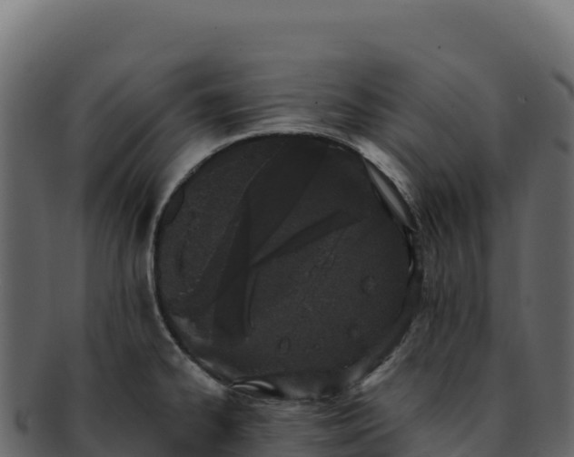 X0000092301334200710041440