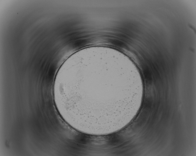 X0000092301338200710041440