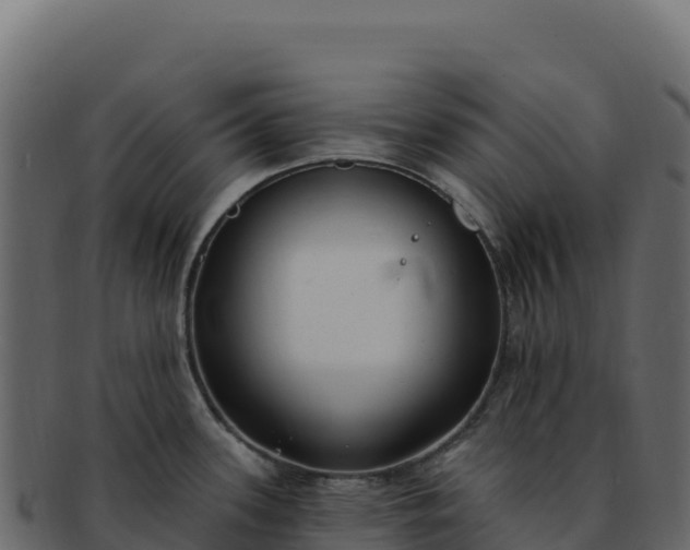 X0000092301339200710041440