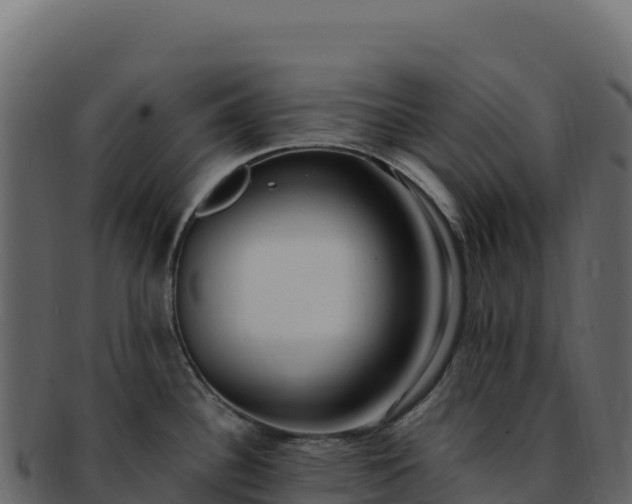 X0000092301340200710041440