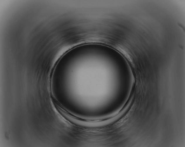 X0000092301342200710041440