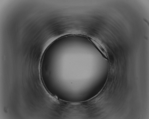 X0000092301343200710041440