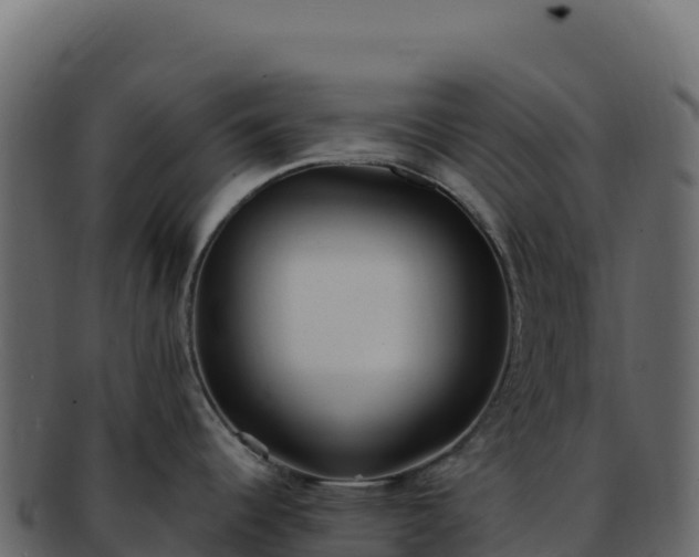 X0000092301344200710041440