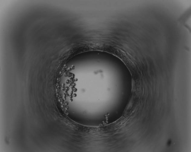 X0000092301345200710041440