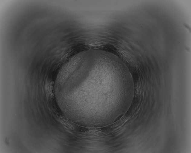 X0000092301346200710041440