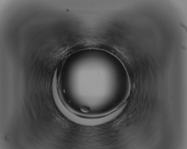 X0000092301348200710041440