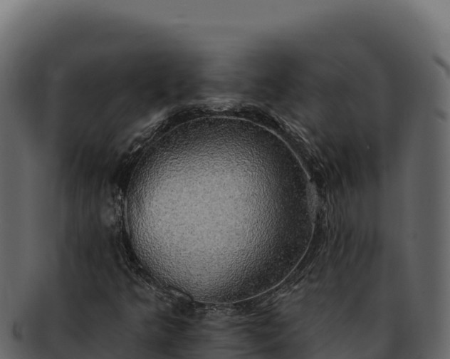 X0000092301349200710041440