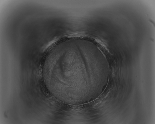 X0000092301350200710041440