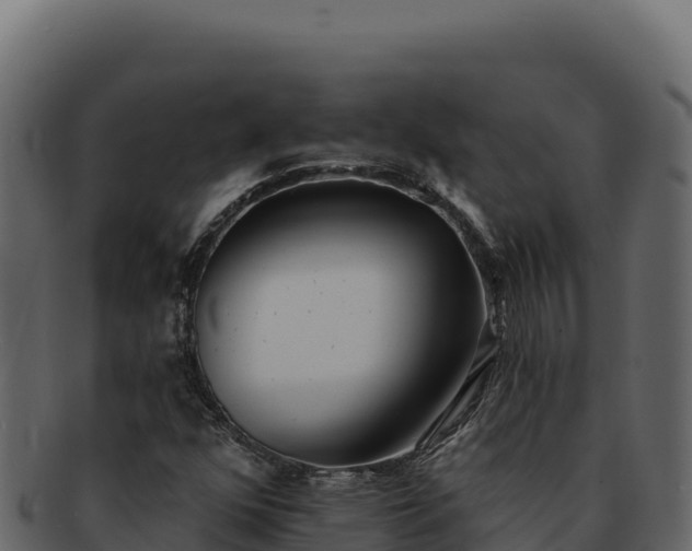 X0000092301352200710041440