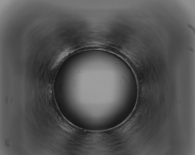 X0000092301355200710041440