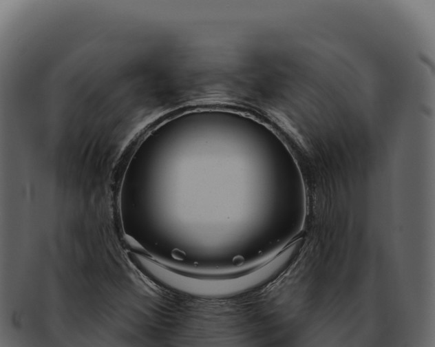 X0000092301356200710041440