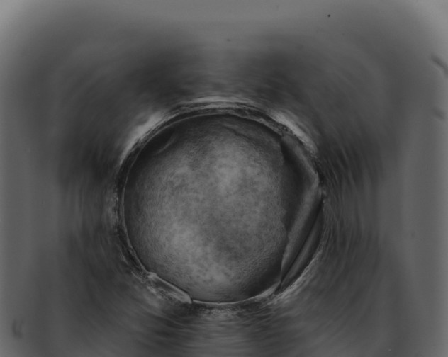 X0000092301357200710041440