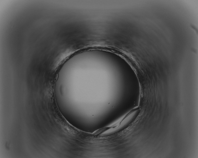 X0000092301359200710041440