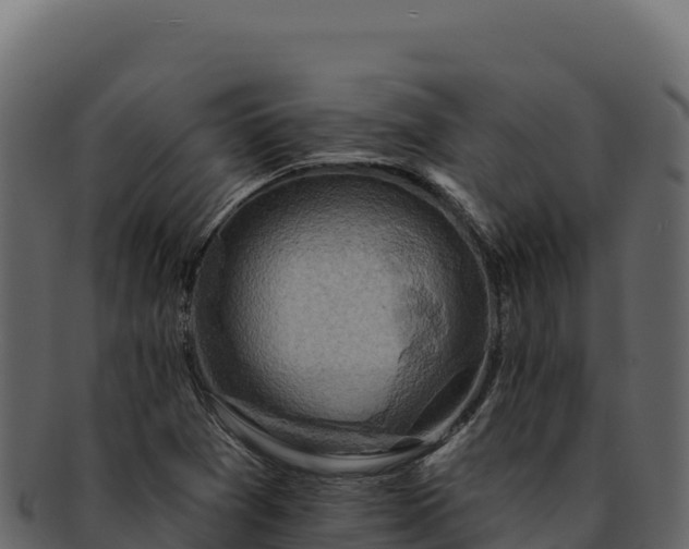 X0000092301361200710041440