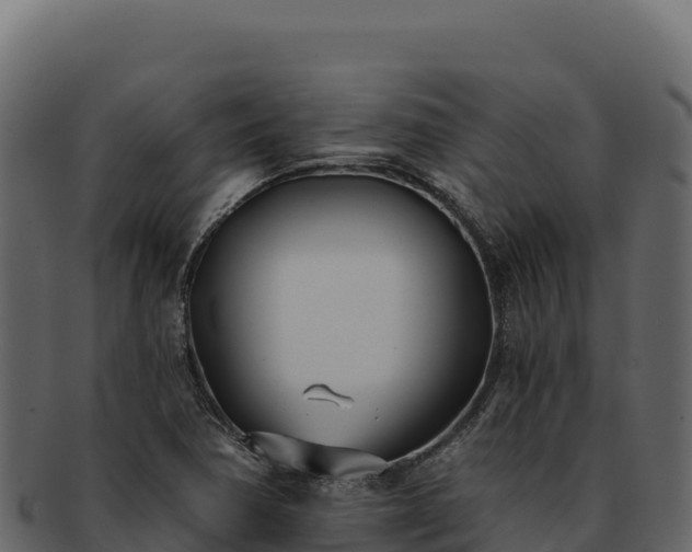 X0000092301362200710041440