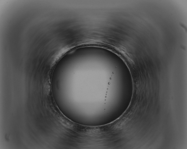 X0000092301363200710041440