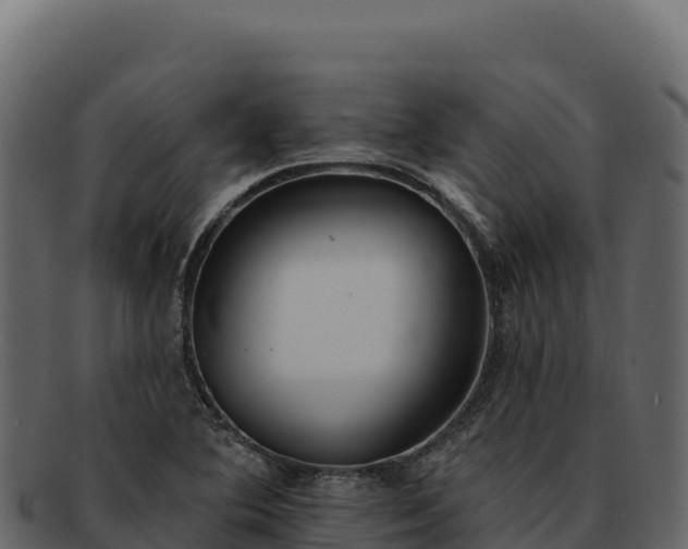 X0000092301364200710041440