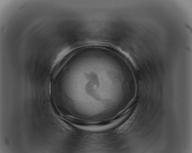 X0000092301365200710041440