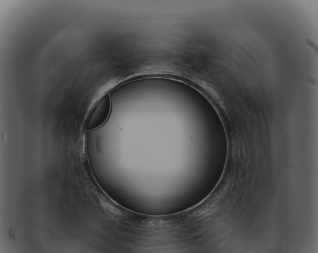 X0000092301366200710041440