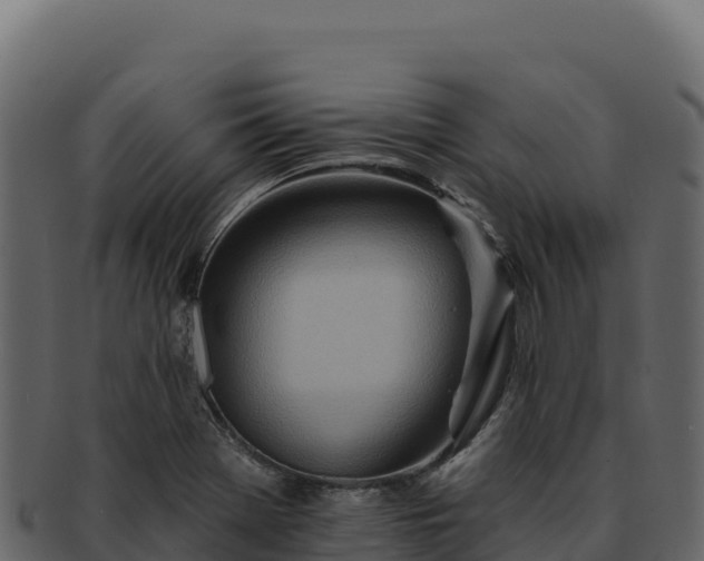 X0000092301369200710041440