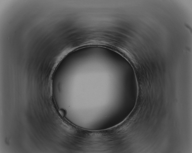 X0000092301371200710041440